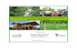 Usos y aportes de la madera en Costa Rica Esta dísticas 2008onfcr.net/archivos/download/Usosoi43118.pdf · ÍNDICE DE TABLAS Cuadro 1. Número de ... Volumen de madera en troza 