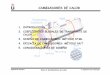 CAMBIADORES DE CALOR - cartagena99.com · 1. Introducción CAMBIADOR DE TUBOS CONCÉNTRICOS: útiles para pequeñas superficies de intercambio. Tipos de cambiadores en función del