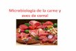 Microbiología de la carne y aves de corral - sgpwe.izt.uam.mxsgpwe.izt.uam.mx/files/users/uami/acym/microbiologia_de_carne_y... · Salmonella. Aves de corral frescas . Alteración