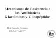 Mecanismos de Resistencia a Antibióticos - fmed.uba.ar · TIPOS DE RESISTENCIA ... USO RACIONAL DE ANTIBIOTICOS ... disminución de la entrada del antibiótico -lactámico eflujo