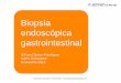 Biopsia endoscópica gastrointestinal - Echevarne ... · de la biopsia . Echevarne ... • Linfoma infiltra submucosa, muscular y ... cadena pesada de Ig. (células B). Sens. 50-68%