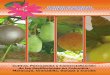 Cultivo, poscosecha y comercialización - ASOHOFRUCOLasohofrucol.com.co/archivos/biblioteca/biblioteca_118_cultivo_pos... · Manejo integral del cultivo de la granadilla (Passiflora