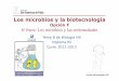 Opción F 6ª Parte: Los microbios y las enfermedades · Opción Microbiología 30/66 Estos antibióticos tienen unefecto ... unen a la subunidad 50S delribosomaimpidiendoel inicio