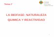 Tema 7 LA BIOFASE: NATURALEZA QUIMICA Y …ocw.ceu.es/ciencias-de-la-salud/introduccion-a-la-quimica-farmace... · subunidad fosfato. 28 EJEMPLO: receptores postsinápticos de la
