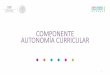 COMPONENTE( AUTONOMÍA(CURRICULAR - …basica.sep.gob.mx/escuela_al_centro/documentos/eventoQro2017/... · Implementación de Fase 0 de la Autonomía Curricular ... su expresióne