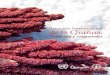 Recetario Internacional de la Quinua: tradición y … · Queque de quinua | Fundación para la Promoción e Investigación de Productos Andinos, ... Crespetes de quinua (turrones