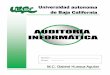 I: Introducción a la auditoría informáticafiles.aiute.webnode.es/200000042-e2df9e4d49/Libro-Auditoria.pdf · FASES DE LA AUDITORIA INFORMÁTICA ... auditoría, así como lo expuesto