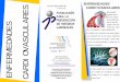 CARDIOVASCULARES - ccelpa.org · daños del sistema circulatorio, aumenta el riesgo de padecer enfermedades corona-rias y fomenta la aparición de coágulos en la sangre