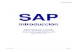 Introducción SAP R/3 SAP - … · Introducción SAP R/3 Rizzardi Rolando Página 4 Búsqueda del nombre del informe que quiere ejecutar Búsqueda del nombre del informe actual