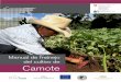 Manual de manejo del cultivo de Camote€¦ · El presente manual de manejo del cultivo de camote se ha elaborado con base en la experiencia productiva de socios de la . Empresa de