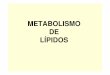 METABOLISMO DE LÍPIDOSecaths1.s3.amazonaws.com/quimicaorganicafaz/875735619... · 2012-09-10 · Catabolismo de los Ácidos Grasos Transporte de Ácidos Grasos: LOS VEGETALES NO