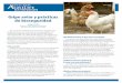 Gripe aviar y prácticas de bioseguridad - posc.tamu.eduposc.tamu.edu/wp-content/uploads/sites/20/2012/08/EPS006S_final2.pdf · Gripe aviar y prácticas de bioseguridad EPS-006S 7/15