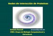 Redes de Interacción de Proteínas - ubio.bioinfo.cnio.esubio.bioinfo.cnio.es/Cursos/doctoradoUAM2008/arausell/UAM_March... · vulnerable a uniones inexpecíficas. ... Se desconoce
