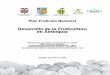 Desarrollo de la Fruticultura en Antioquia - … Nal... · Desarrollo de la fruticultura en Antioquia 1 Ministerio de Agricultura y Desarrollo Rural Plan Frutícola Nacional Desarrollo
