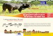 Vademécum Veterinario - arsal.com.svarsal.com.sv/vademecum-vet.pdf · Pantenol Emoliente ... Como antiespasmódico a ... INDICACIONES: Está indicado en deﬁciencias vitamínicas