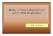 18 Microfósiles planctónicos con interés en geologíanidos.pdf · Forma de la lóriga de los tintínidos Los tintínidos se clasifican por la forma de la lóriga En el registro