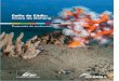 Golfo de Cádiz: Propuesta de protección Costa de …oceana.org/sites/default/files/reports/oceana_golfo_de_cadiz_costa... · blochmani, Halocynthia papillosa y las esponjas Crambe