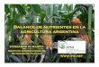 Instituto Internacional de Nutrición de Plantas  · Balance de nutrientes en la agricultura argentina Fernando O. García  Instituto Internacional de Nutrición de Plantas