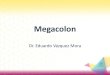 MEGACOLON - Mix Académico - - [Alianza Médica] -mixacademico.alianzamedicamexicana.com/.../Megacolon.pdfEnfermedad de Hirschsprung Enfermedad de Hirschsprung o Megacolon agangliónico