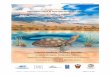 Campaña Para el Uso Eficiente del Agua - rareplanet.org · modeo conceptual de la campaña ... excesiva explotación de sus mantos acuíferos para la agricultura, ... la totalidad