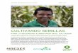 CULTIVANDO SEMILLAS - Oxfam International | The … · 2015-05-27 · Disagro S.A de C.V, quien ocupó el 39% del mercado ($3.3 millones), seguido de la empresa Fertilizantes Maya