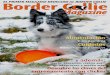 Dieta Barf/Acba Cuidados - Border Collie Magazine · Una revista exclusiva para los amantes del border collie. Equipo: Isabel Ferrer, Verónica Moya Stefanelli, Natalia Cuadrado,