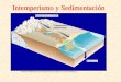 Intemperismo y Sedimentación - …usuarios.geofisica.unam.mx/gvazquez/yacimientosELIA/zonadesplegar... · El suelo es una combinación de minerales, materia orgánica, agua y aire