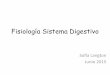 Fisiología Sistema Digestivo - ecaths1.s3.amazonaws.com · Silverthorn, D. U.: Fisiología Humana. Un Enfoque Integrado; 4ª Edición. Editorial Médica Panamericana. Buenos Aires