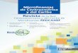 Junta Directiva de REDCAMIF - Microfinance Gateway … · A Diciembre del 2012, las Instituciones de Microfinanzas afiliadas a las 7 Redes Nacionales de Microfinanzas en Centroamérica