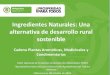 Ingredientes Naturales: Una alternativa de desarrollo ... · o negocios de Biocomercio, pueden ... •Aprovechamiento de 21,8 hectáreas de Camu Camu Objetivo •-Implementación