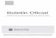 Boletín Oficial - boletinoficial.buenosaires.gob.arboletinoficial.buenosaires.gob.ar/documentos/boletines/2017/05/... · de la Ciudad ... la Argentina - 1996-2016 ... Resolución