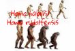 Homo rudolfensis Homo habilis/d20uo2axdbh83k.cloudfront.net/20140203/3c04289bc3493bb3a375e96… · alrededor de 40% más respecto al Australopithecus. Características Alimentación:
