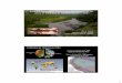 Ecología y diversidad de los peces amazónicos en las …d2ouvy59p0dg6k.cloudfront.net/downloads/hidalgo_sistemas_fluviales... · peces continentales 48% ... de las más ricas del