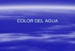 COLOR DEL AGUA - DSpace en ESPOL: Home · café o té; si son partículas del suelo el color ... natas producidas por algas y el color de la nata da el color al agua: rojo, amarillo,