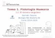 Tema 1. Fisiología Humana - dpbiologia.weebly.comdpbiologia.weebly.com/.../2/1/5/...el_sistema_sanguneo.curso_14-15.pdf · Componentes del sistema sanguíneo Sistema circulatorio