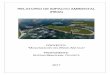  · Relatorio de Impacto Ambiental (RIMA) Maquinización del Brazo Aña Cua i CONTENIDO 1 PRESENTACIÓN 