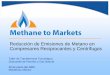 Reducción de Emisiones de Metano en Compresores ... · Reducción de Emisiones de Metano en Compresores Reciprocantes y Centrífugos Taller de Transferencia Tecnológica Subcomité