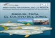 Instituto Nacional de la Pesca - inapesca.gob.mx · Ubicación del cultivo de Seriola lalandi en Bahía Magdalena, B.C.S., Mex., ... Con este esquema de colaboración se logró asociar