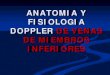 ANATOMIA Y FISIOLOGIA DOPPLER DE VENAS DE MIEMBROS INFERIORES · ANATOMIA DEL SISTEMA VENOSO DE MIEMBROS INFERIORES. CONSIDERACIONES TECNICAS . ... Necesidad de drenaje venoso por