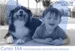 Curso IAA INTERVENCIONES ASISTIDAS CON … · -Análisis conductual aplicado a las IAA-Diseño de sesiones Intervenciones psicosociales asistidas con animales-Terapia física asistida