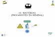 10. BACTERIAS. (PROCARIOTES EN GENERAL) - [DePa] Departamento de ...depa.fquim.unam.mx/.../T-Presentaciones/Tema10/T-10-Bacterias-181.… · Diversidad nutricional y metabólica de