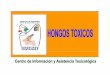MICETISMO - Portal de la Coordinación de Educación …edumed.imss.gob.mx/pediatria/toxico/hongos_toxicos.pdf · etanol o previa ingesta de hongos en un lapso 72 hrs • 