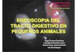 ENDOSCOPIA DEL TRACTO DIGESTIVO EN PEQUEÑOS ANIMALES… · • Cuidado al insuflar aire para pacientes ... esofagoscopia rígida es preferida para la extracción de cuerpos extraños