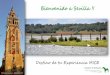 Bienvenido a Sevilla · Flamenco Coro Rociero Dinamización Haciendas y Cortijos A capricho 