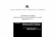 ESTRUCTURA SOCIOECONÓMICA DE MÉXICO I · 3 introducciÓn 7 capÍtulo 1. estructura socioeconÓmica de mÉxico (1910-1934) caudillismo e institucionalizaciÓn 9 propÓsito 11 1.1