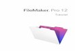 FileMaker Pro Tutorial · Creación de una base de datos e introducción de registros 26 ... lección ofrece una actividad práctica diseñada para guiarle por los menús, las pantallas