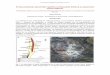 El descubrimiento del pórfido cuprífero La Escondida ... · 1 El descubrimiento del pórfido cuprífero La Escondida (Chile) y la exploración minera regional* *Comentarios relativos