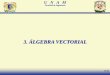 3. ÁLGEBRA VECTORIAL - Páginas Personales UNAMpaginaspersonales.unam.mx/files/468/3_Algebra_Vectorial.pdf · El alumno aplicará el álgebra vectorial en la resolución de problemas