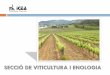 SECCIÓ DE VITICULTURA I ENOLOGIA - …noticea.espais.iec.cat/files/2015/12/Viticultura.pdf · Activitats previstes pel 2016 - Primer semestre – L’ampliació de la D.O Alella