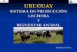 URUGUAY SISTEMA DE PRODUCCIÓN LECHERA Y … DE PRODUCCION Y BIEN… · PRODUCCIÓN LECHERA EN URUGUAY La producción lechera es la segunda actividad pecuaria del país, luego de